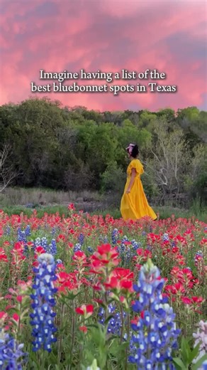 Best Bluebonnet Spots to Visit in Texas This Season