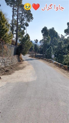 #fyp #viral #foryoupage #trending #tiktok 🫴🦅😟😴😡🥃🍷👿💘