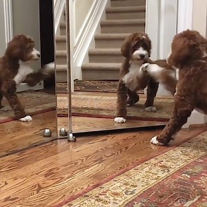 90K views · 1K reactions | Good morning .... | Humour pics | Facebook