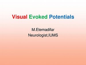PPT - Visual Evoked Potentials PowerPoint Presentation, free download - ID:1361035