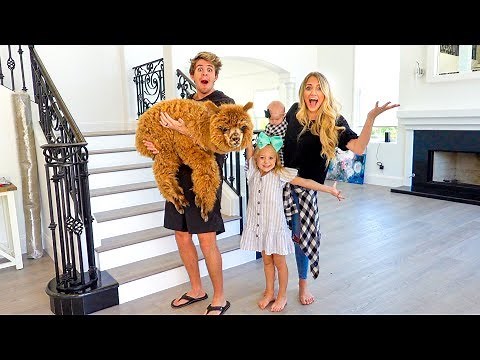 Welcoming The Newest Member of the LaBrant Family!!!