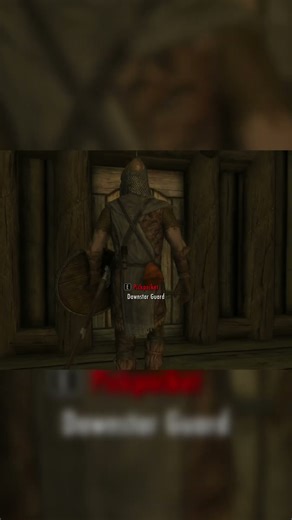 Skyrim guards are NOT paid enough for this 😂