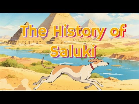 The History of Saluki
