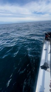 1.7M views · 6.2K reactions | Is this count as Halibut fishing or...