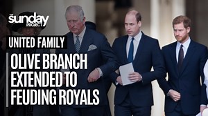 298K views · 8.5K reactions | King Charles III's first speech as sovereign delivered an unexpected olive branch to Prince Harry and Meghan Markle as they joined the Prince and Princess of Wales to greet fans at Windsor Castle. #TheProjectTV | The Project | Facebook