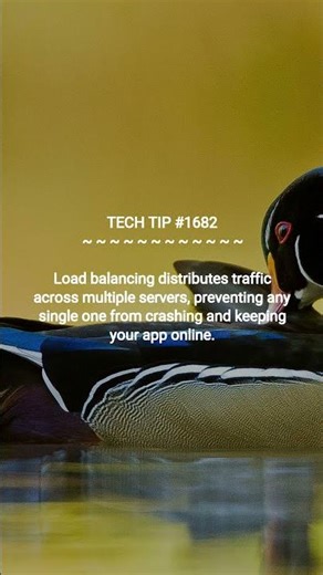 Why Use a Load Balancer? | 2025-12-11 | #Shorts #codinghacks #dotKey #TechTips #productivityhacks