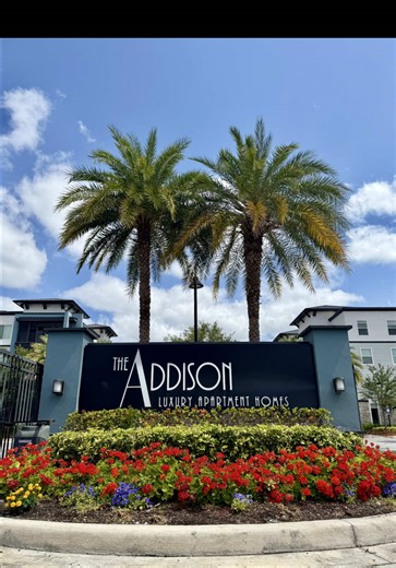 addisonatuniversalblvd on TikTok