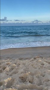 Beach At Ocean City Maryland #shorts