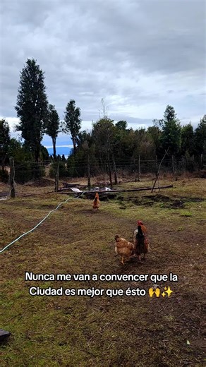 La Vida de Campo en el Sur de Chile