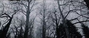 Truck driver discovers something hidden in the woods: NXT UK, March 3, 2022