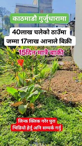 202K views · 1.8K reactions | गुर्जुधारामा 35लाख पर्ने ठाउँमा जम्मा...