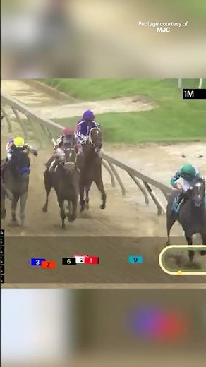 An unbelievable Preakness Stakes win by JOURNALISM! 🗞️