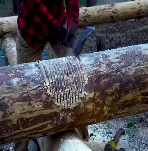 A large log cabin is being constructed in the woods without anyone present | Boston Yayuka