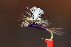 Tying A Purple Haze Dry Fly | Montana Fishing Guides