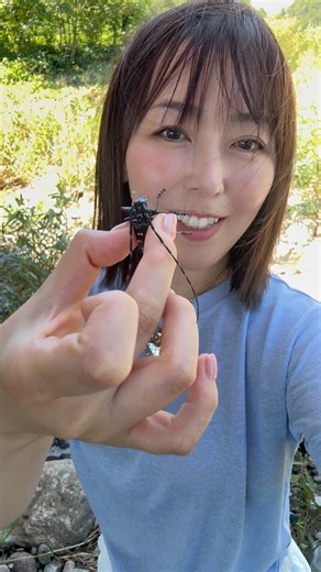 Ito-san catches a citrus long-horned beetle #longhornedbeetle #insects #shorts #vlog