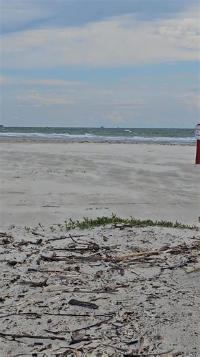 Kirk Johnson on Reels