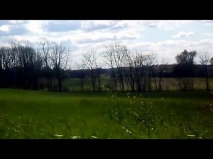 Groundhog hunting with .204 Ruger