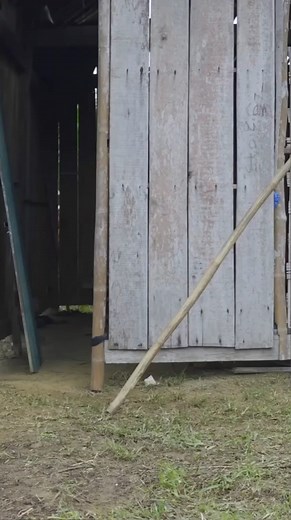 Can Ly Tieu Huong overcome adversity - Does Engineer Binh know that Huong is his lover #7 | Ly Tieu Ly