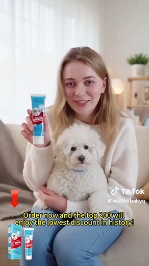 Choosing the Best Pet Toothpaste for Your Dog