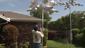 Court calls nesting birds a nuisance for neighbors, homeowners feel pressure to move birdhouses