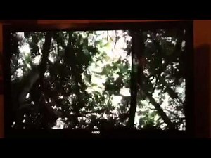 Soul surfer shark attack scene