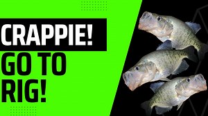 Double the number of crappie you catch with this one rig! - double jig rig-how to tie and use