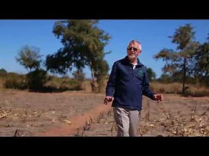 Conservation Agriculture: Planting Hole Method - Hoes