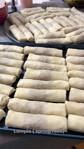 27 reactions · 32 comments | #fbfriendsfollowersviewers #hilightseveryonefollowers #SpringRollLove | Drucilla Castana Finlay | Facebook