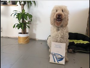 Pass GCSE Maths In Four Weeks Review: Will It Benefit Your Child?