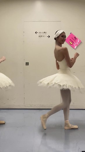 Houston Ballet Japan Tour 2022 ✈️🇯🇵 🩰 #houstonballet #tour #japan #swanlake #ballet