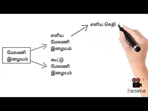 Biology unit 5.1 Animal tissues intro