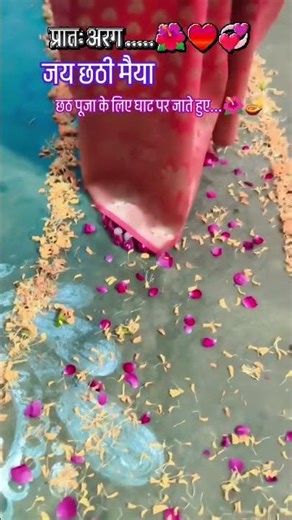 hai ho chhati maya 🙏🌄🌺 #love #song #bihar #reel