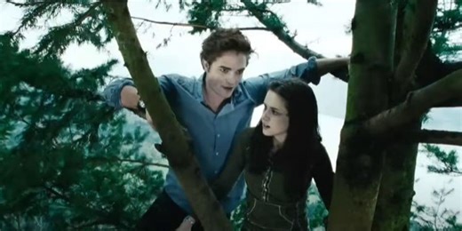 Twilight director names who would play Edward and Bella if film was made today
