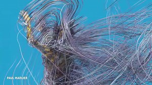 Florence Porcel reçoit Jeanne Morel, danseuse, actrice et exploratrice, pour parler de l’adaptation du corps en milieux extrêmes et plus particulièrement lors de la danse ! 💃❄️🚀 Que ce soit en apesanteur, en altitude ou encore dans le désert, Jeanne Morel fait appel à ses capacités physiques pour lier l’art à la science 🔭 String Theory c'est le rendez-vous hebdo de la science pop ! Tous les jeudis à 18h retrouvez des vidéos inédites ! Cliquez-ici pour vous abonner : http://bit.ly/substringth 