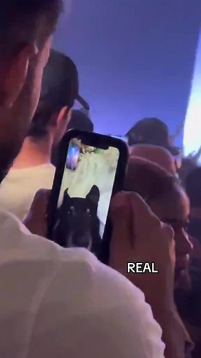 22K views · 1.2K reactions | Low Quality Content on Reels | Facebook