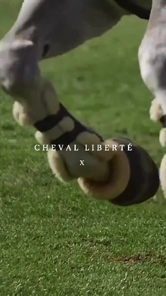 Cheval Liberté 𝐱 𝐂𝐨𝐦𝐩𝐞𝐭𝐢𝐭𝐢𝐨𝐧 ✨🤍 • POV: You’re about to discover our Cheval Liberté competition breeches and trust us you’re going to love them! 👀✨ • 𝐅𝐨𝐥𝐥𝐨𝐰 𝐭𝐡𝐞 𝐦𝐨𝐯𝐞𝐦𝐞𝐧𝐭: #chevallibertethelabel • #equestrian #showjumping #equestrianfashion #smallbusiness #equestrianinfluencer #equestrianstyle #equestrianism