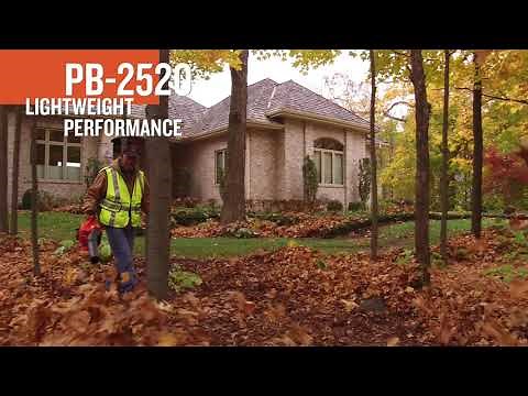 ECHO PB-2520 2-Cycle Leaf Blower Overview
