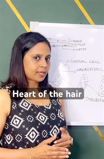 What is cortex? Why is it called heart of the hair?
