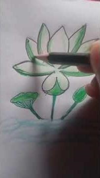 National flower drawing. (Part 2).#artvideo #arttutorial #pencildrawing #nationalflower
