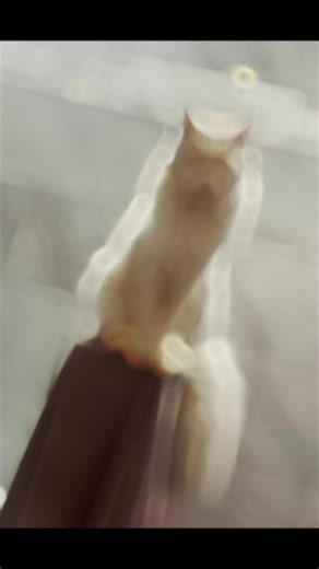 Triple K Ranch on TikTok