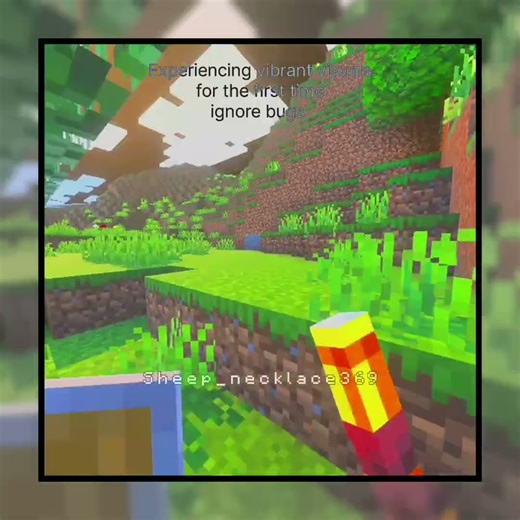 vibrant visuals for the first time #vibrantvisuals #minecraft #shaders