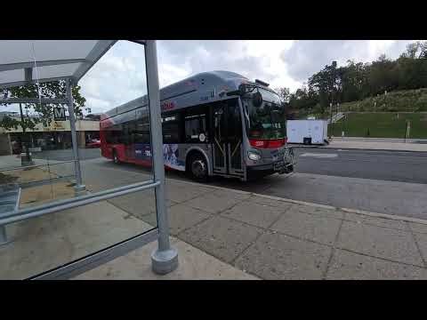 Close up View: WMATA Metrobus 2020 New Flyer Xcelsior XN40 Bus #3330 on Route M60 to Plum Orchard Dr