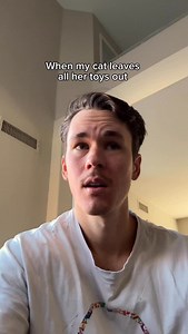 244 reactions | All these toys and she plays with a shoe string most of the time… #cats#trendingreels | Elliethetabby | Facebook