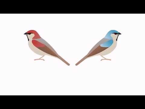 Population Genetics