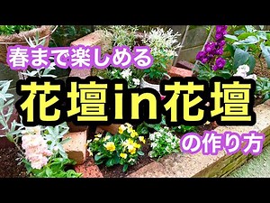 Welcome to the Japanese garden.I create flower beds within flower beds.