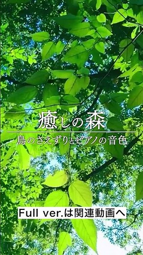 【癒しの森】鳥のさえずりとピアノの音色｜深いリラックス・熟睡・瞑想BGM