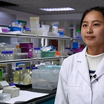 Investigating Microbial Interactions in Delia - JoVE Journal