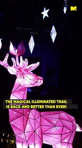 14K views · 123 reactions | In the spirit of festive joy and holiday cheer, the Christmas village, “Illuminated Trail Malta ,” has once again opened its doors to the public at the picturesque Verdala Palace in Buskett.  This enchanting village, designed to captivate families and children alike, promises a magical experience with unique attractions that transform the surroundings into a winter wonderland filled with the spirit of Christmas.  #MaltaDaily | Malta Daily | Facebook