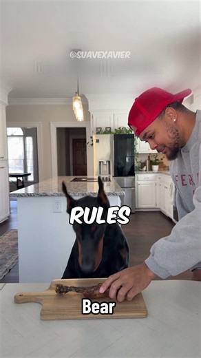Ultimate Dog Self-Control Test 🥩