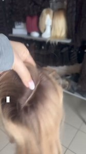  ◻️  NATURAL HAIR TOP SILK Shatush …....